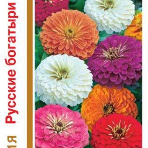 Цинния Русские богатыри , смесь 0,5 г сер.1+1