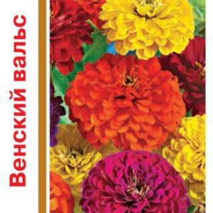 Цинния Венский вальс, смесь 0,5 г сер.1+1