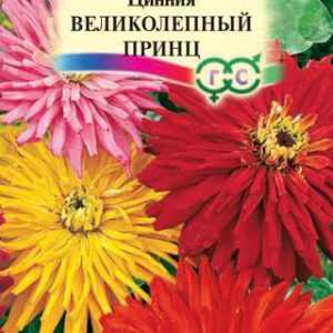 Цинния Великолепный принц, кактусовидная смесь 0,5 г