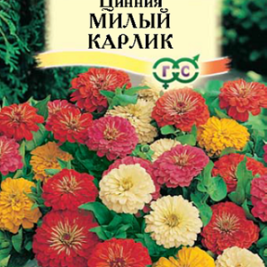 Цинния Милый карлик, смесь 0,5 г Н14