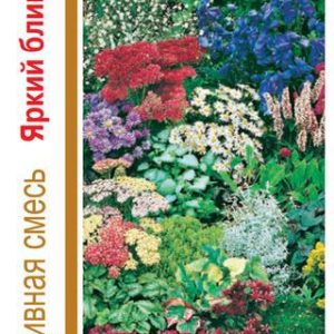 Декоративная смесь Яркий блик 0,2 г сер.1+1 Н14