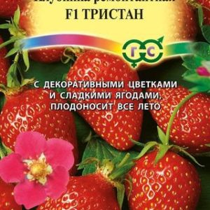 Клубника Тристан* F1 5 шт. Н14