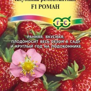 Клубника Роман* F1 5 шт. Н14