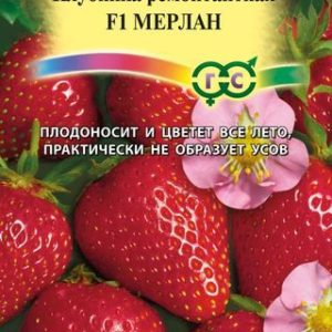 Клубника Мерлан* F1 5 шт. Н14