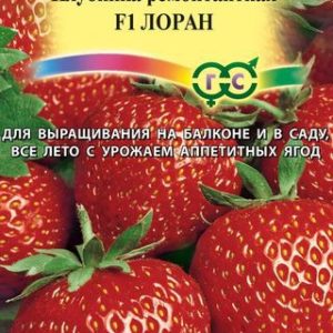 Клубника Лоран* F1 5 шт. Н14