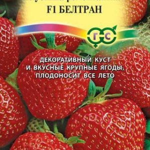 Клубника Белтран * F1 5 шт. Н14