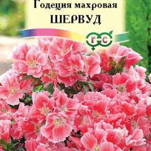 Годеция Шервуд , махровая * 0,1 г Н14