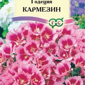 Годеция Кармезин* 0,1 г Н14