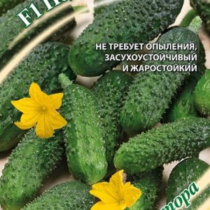 Огурец Подарок югу F1 10 шт, автор. Н14