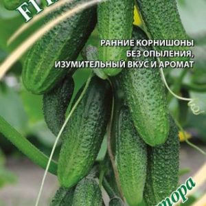 Огурец Капиталъ F1 10 шт, автор. Н14