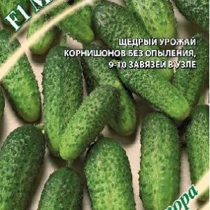 Огурец Могучая кучка F1 10 шт, автор. Н14