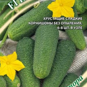 Огурец Наш выбор F1 10 шт, автор. Н14