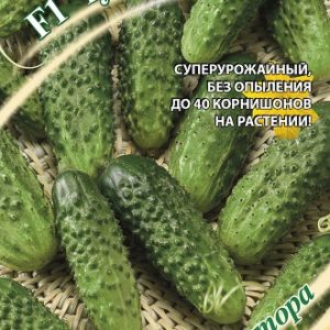 Огурец Чудо букет F1 10 шт, автор. Н14
