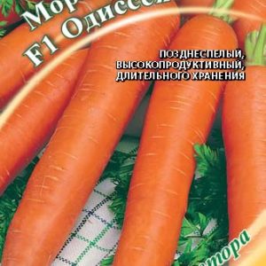 Морковь Одиссея F1 0,3 г автор. Н14