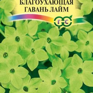 Табак Благоухающая гавань лайм F1 душистый* 5 шт H14