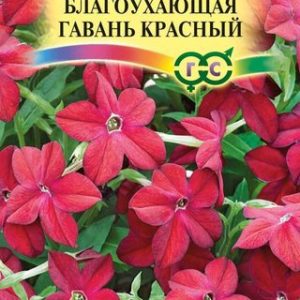 Табак Благоухающая гавань красный F1 душистый * 5 шт H14