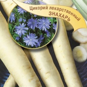 Цикорий Знахарь лекарственный 0,1 г