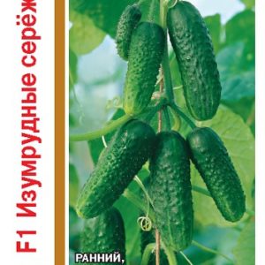 Огурец Изумрудные сережки F1 серия 1+1/20 шт.корнишон автор. Н14