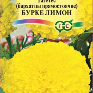 Бархатцы пр. Бурке Лимон (Тагетес) 0,3 г Н14