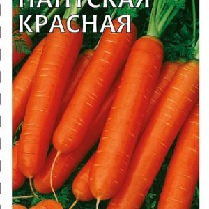 Морковь Нантская красная 2,0 г Н14