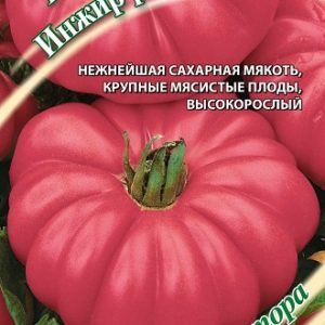 Томат Инжир розовый 0,1 г автор. Н14