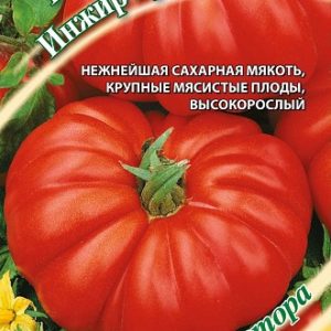 Томат Инжир красный 0,1 г автор. Н14
