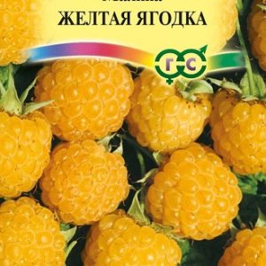 Малина Желтая ягодка 10 шт. Н13
