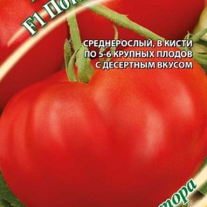 Томат Потапыч 0,1 г автор. Н14