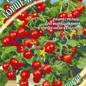 Томат Горшечный красный 0,1 г автор. Н14
