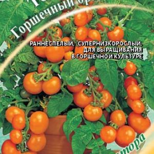 Томат Горшечный оранжевый 0,1 г автор. Н14