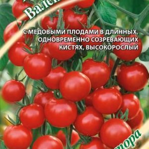 Томат Валентинка 0,1 г автор. Н14