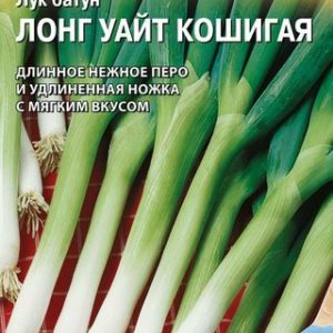 Лук батун Лонг Уайт Кошигая 0,5 г (Саката)