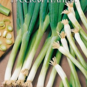 Лук на зелень Русская трапеза 0,5 г серия Русский вкус!