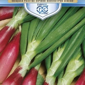 Лук на зелень Русское застолье 1,0 г серия Русский богатырь