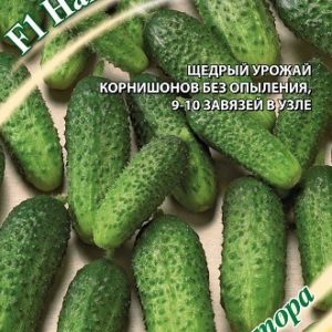 Огурец Нахаленок F1
