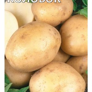 Картофель Колобок 0,025 г Н14