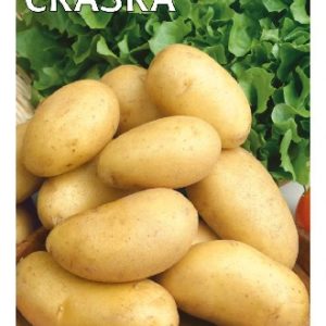 Картофель Сказка 0,025 г Н14