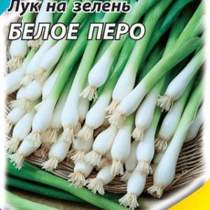 Лук на зелень Белое перо 1,5 г ХИТ х3