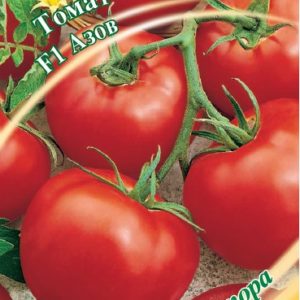 Томат Азов F1 0,1 г автор. Н14