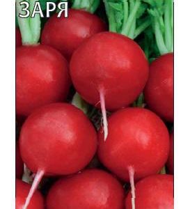 Редис Заря 3,0 г сер. Огород без хлопот