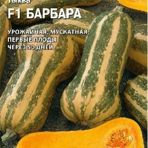 Тыква Барбара F1 5 шт.(Саката) Н15