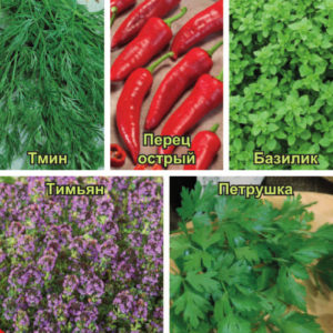 Кухонные пряности к мясу 2 г Н15