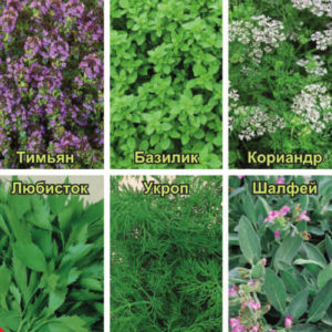 Кухонные пряности к рыбе 1 г Н15