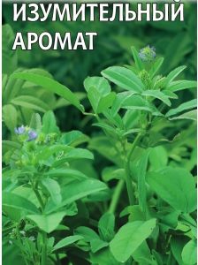 Пажитник голубой Изумительный аромат (Хмели Сунели) 0,1 г Н15