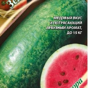 Арбуз Зеленая торпеда 1 г автор. Н15