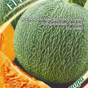 Дыня Каротель F1 1,0 г автор. Н15