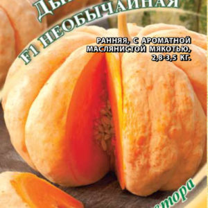 Дыня Необычайная F1 1,0 г автор. Н15
