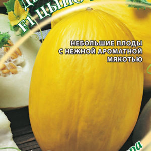 Дыня Цыпочка F1 1,0 г автор. Н16
