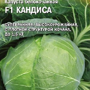 Капуста белокоч. Кандиса F1 20 шт. ранняя (Саката) Н15