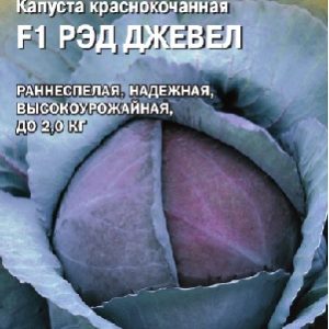 Капуста краснокоч. Рэд Джевел F1 15 шт. (Саката) Н15